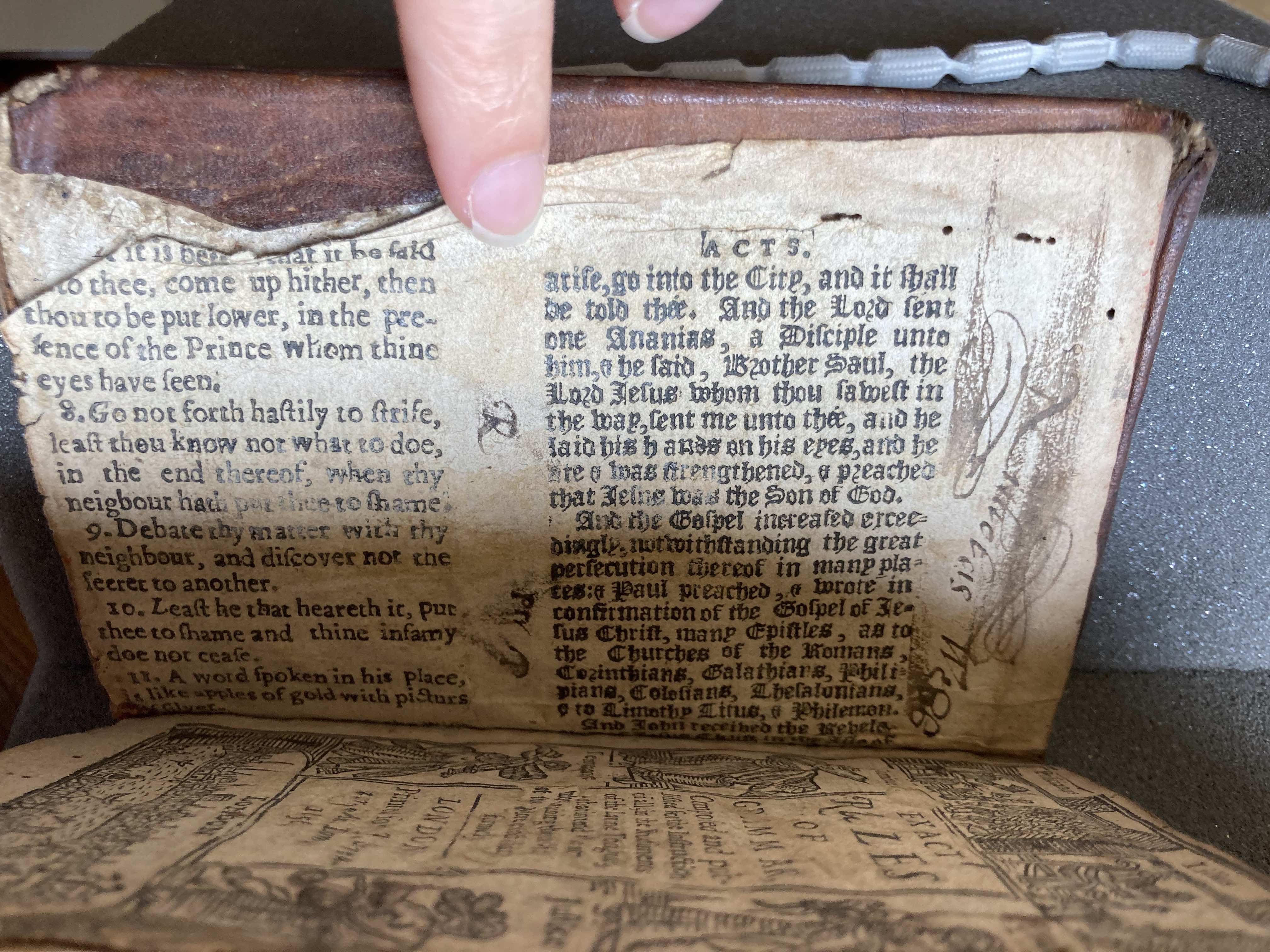 Exact Rules of Grammar pastedown